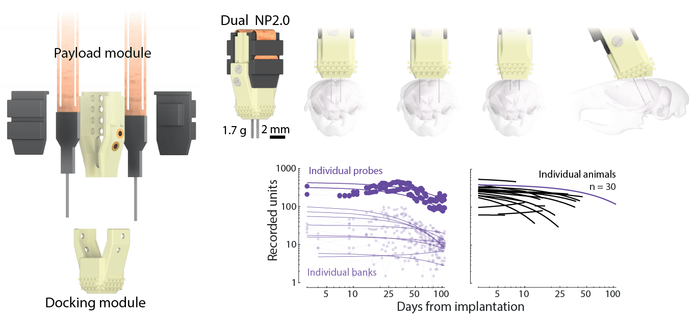 Apollo Implant